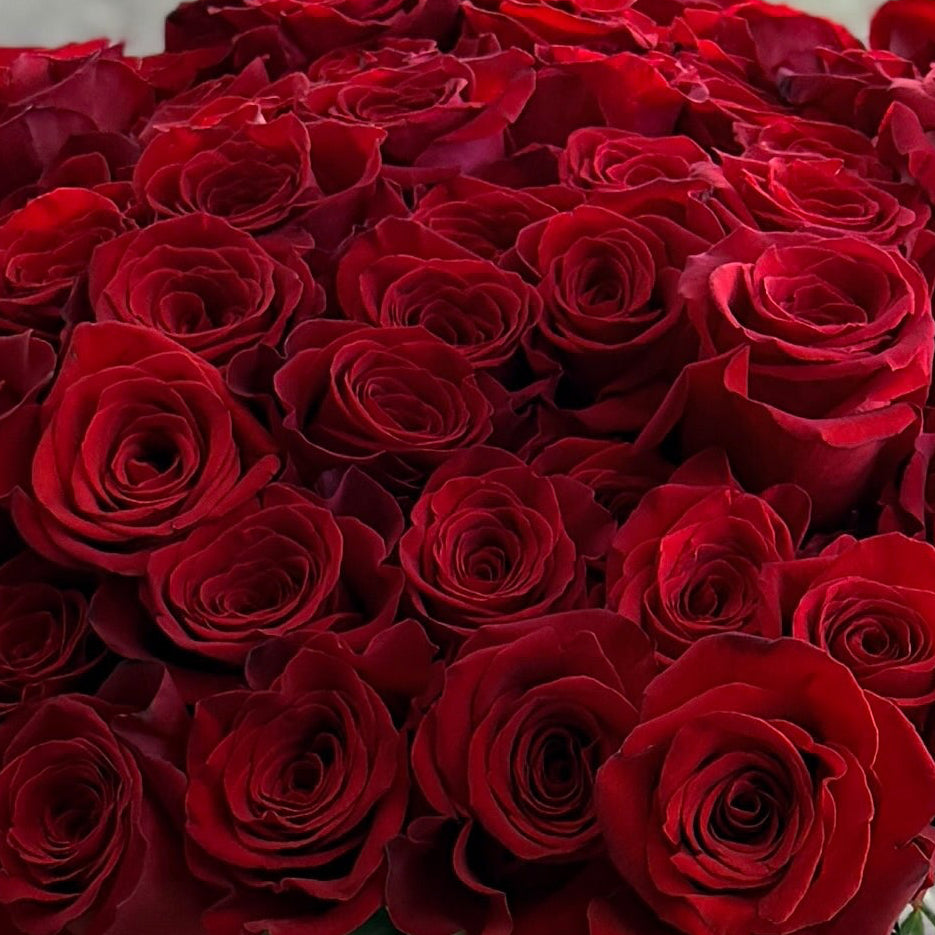 Crimson Romance