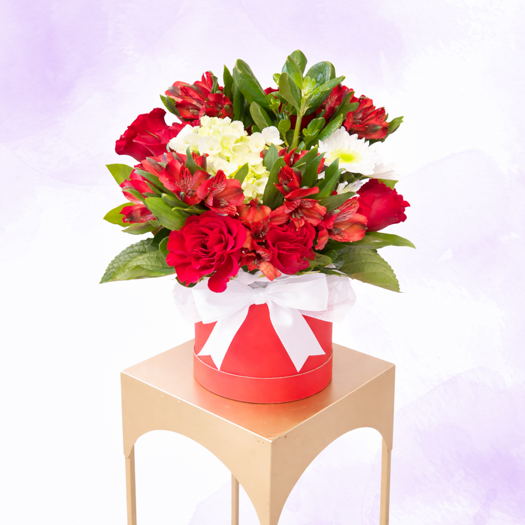 Scarlet Elegance Box ❤️