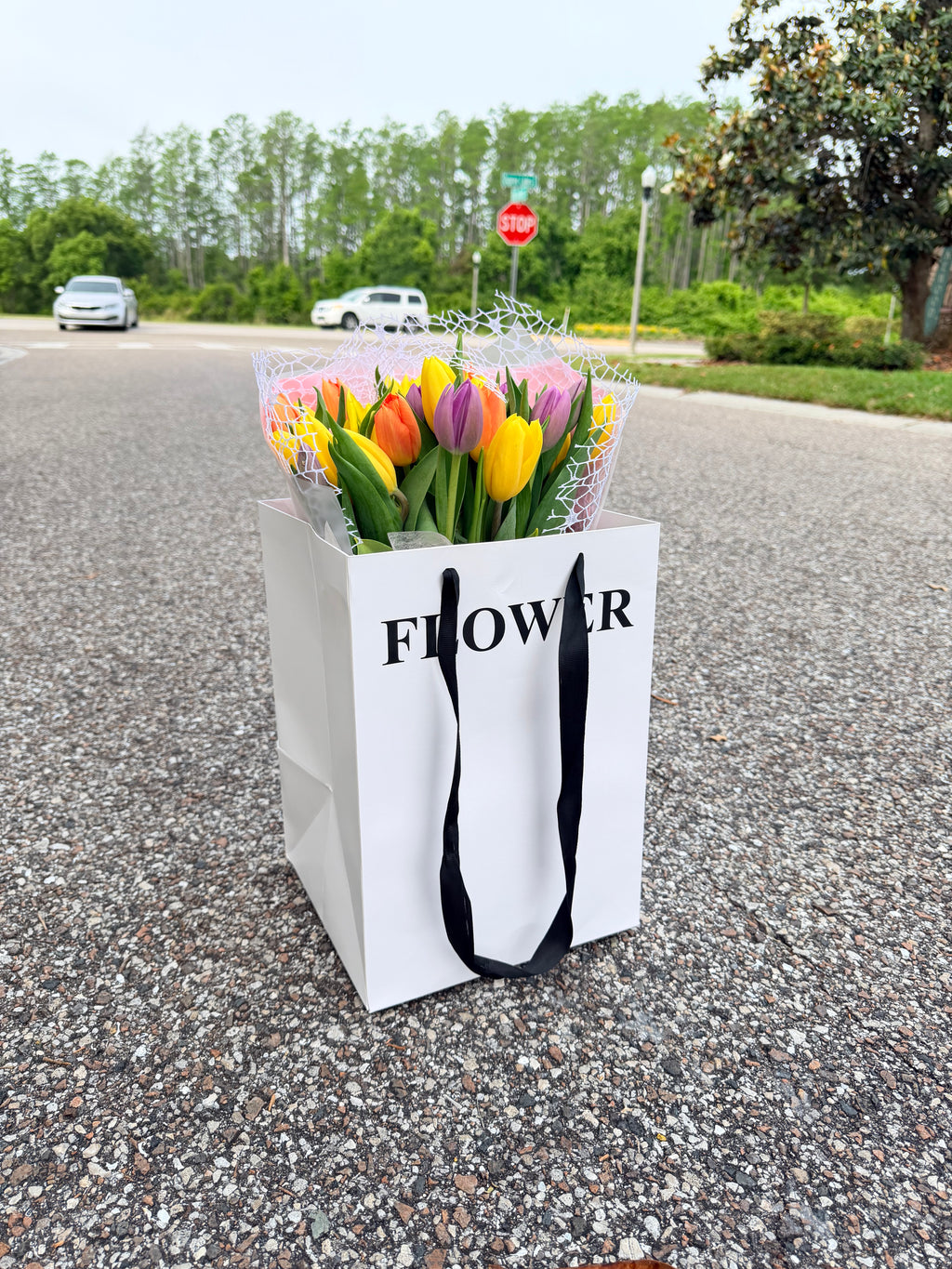 Spring gift