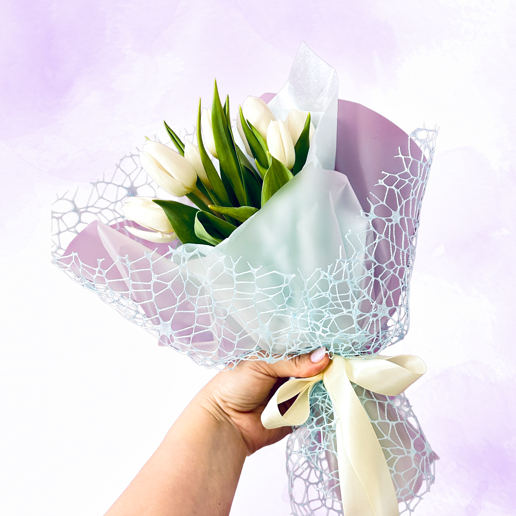 Soft Whisper Tulips