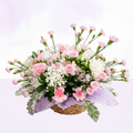 Delicate Bloom Collection