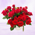 Luxury Red Roses in Box – 36 Premium Roses
