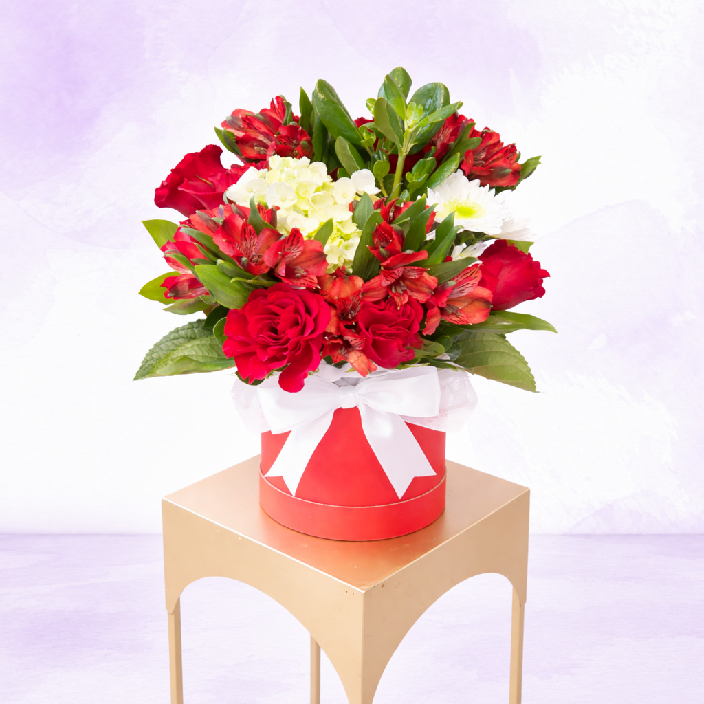 Scarlet Elegance Box ❤️