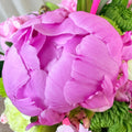 Pink Peony Garden Box